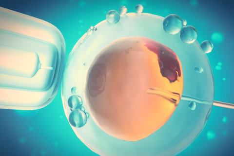 怀孕