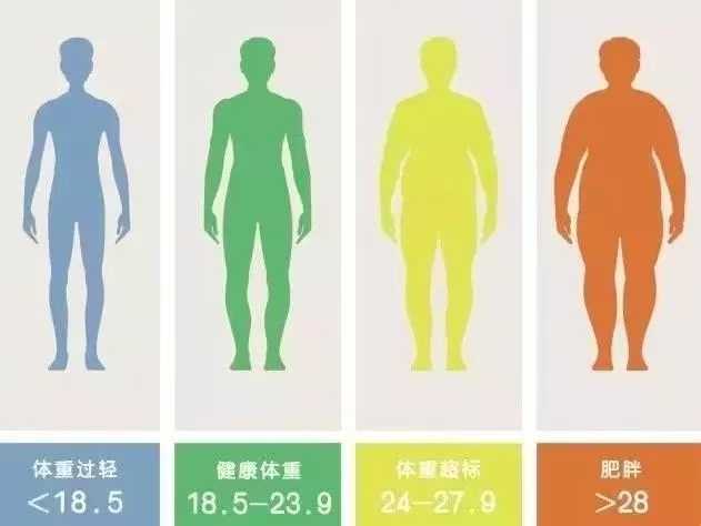 BMI指标图.jpg